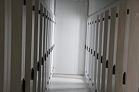 IMG 0081