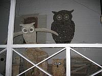 The Owl house